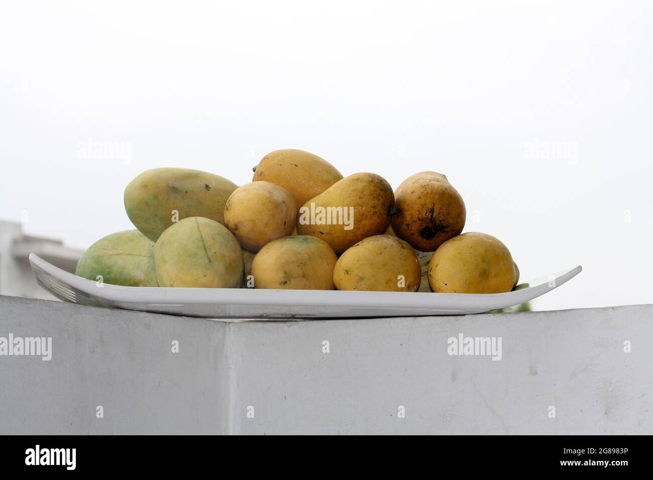 Variety of Indian mangos (Mangifera indica) Stock Photo
