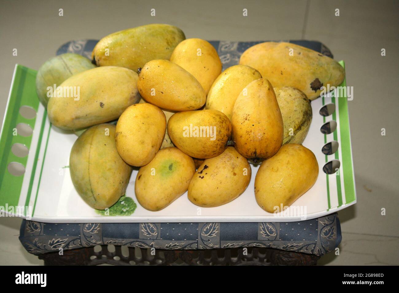 Variety of Indian mangos (Mangifera indica) Stock Photo