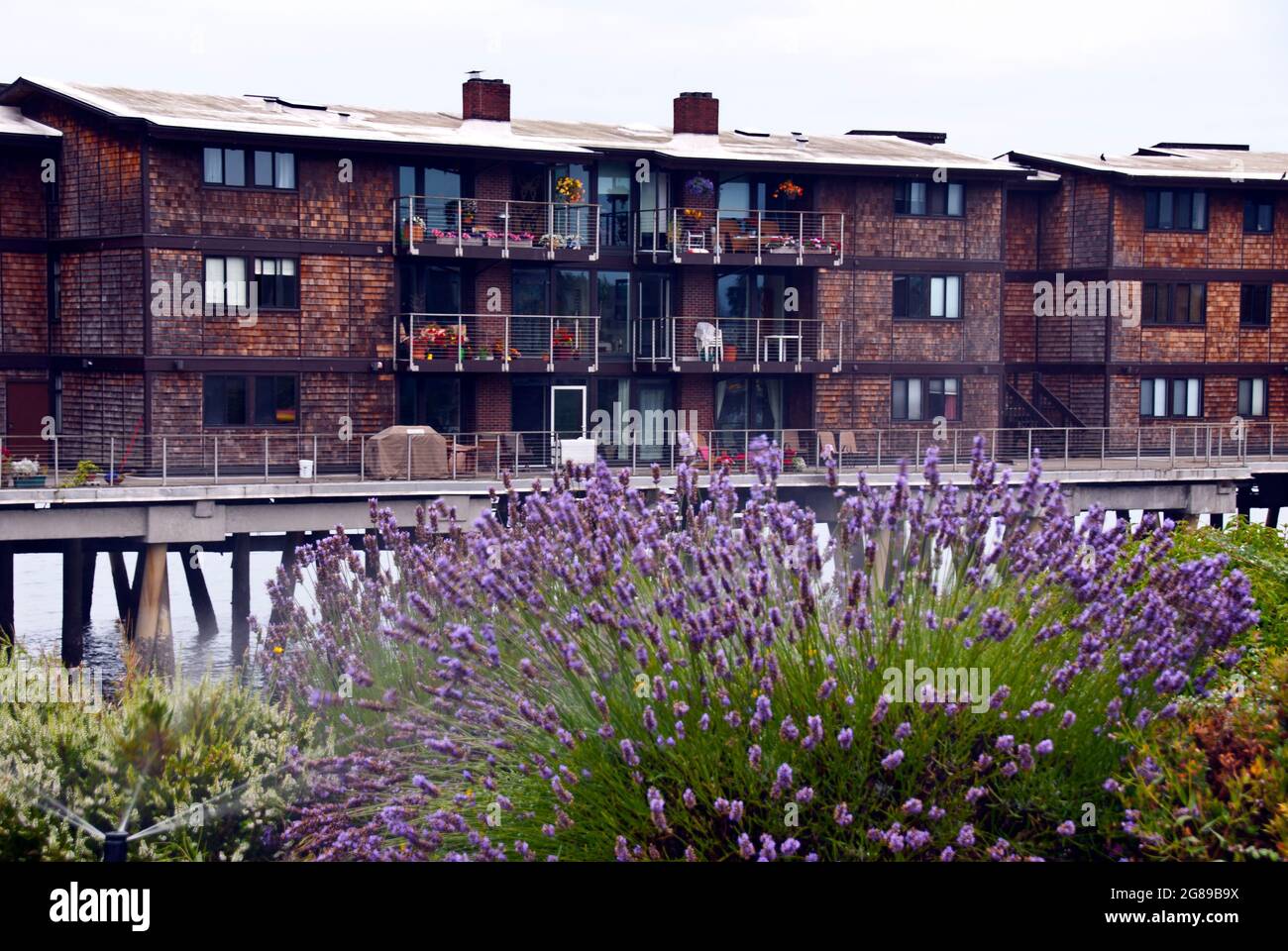 Condos on stilts above water, Seattle, Washington Stock Photo Alamy