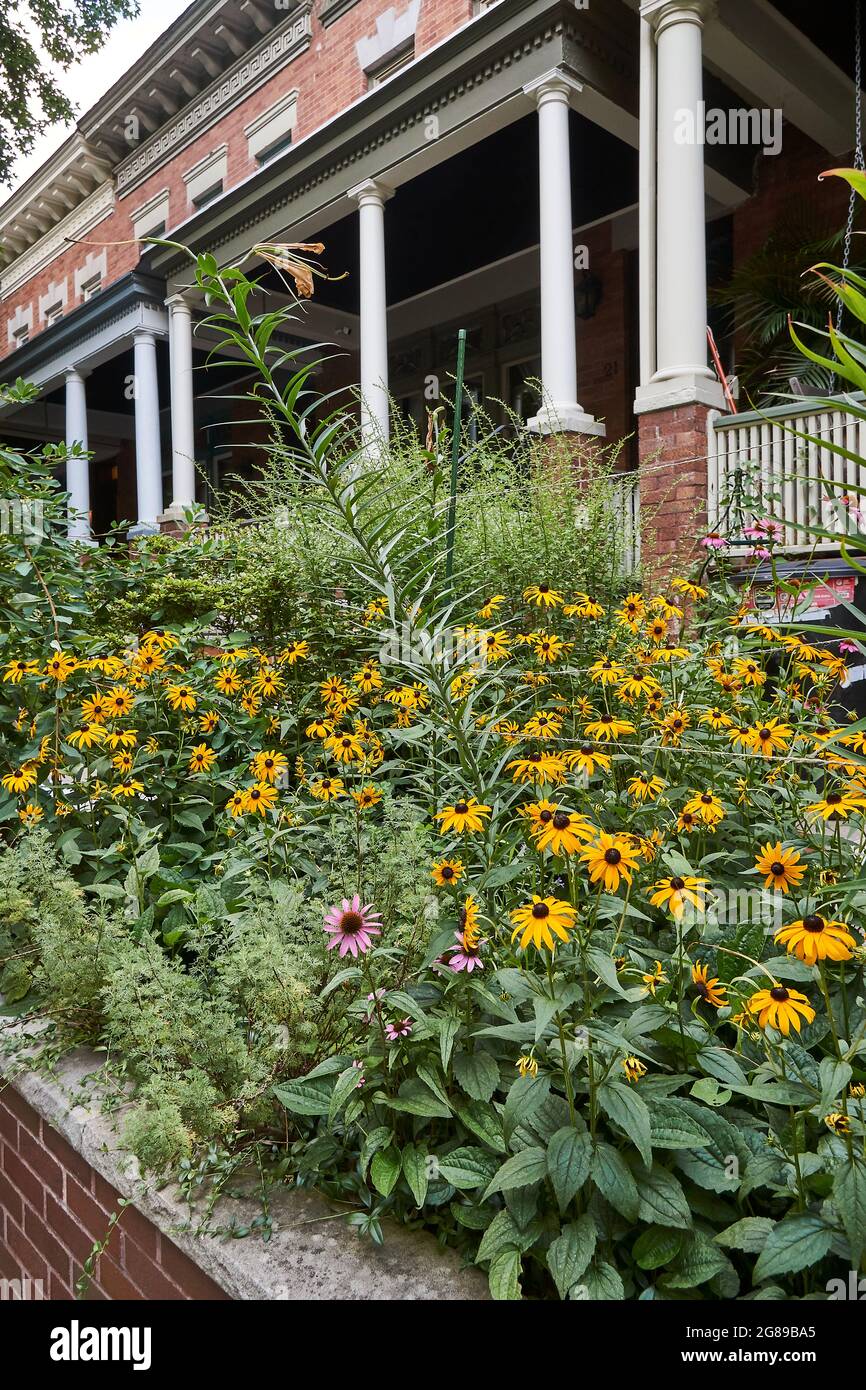 Traditional Townhouses in Windsor Terraces neighborhood, south Park Slope, in Brooklyn, New York Stock Photo