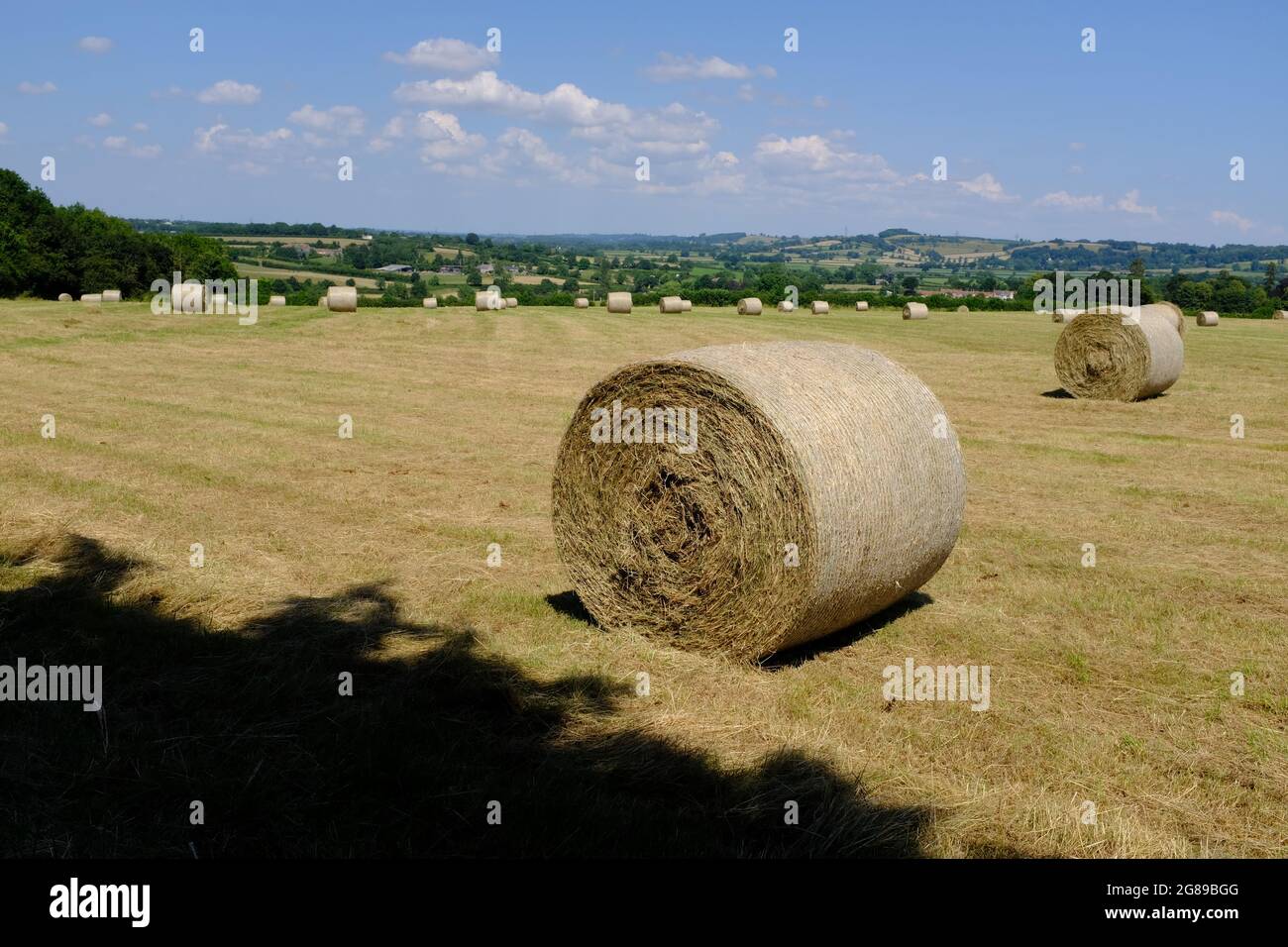 Hay bales in a field on the Wick Golden Valley nature reserve trail in Wick, Bristol, UK Stock Photo