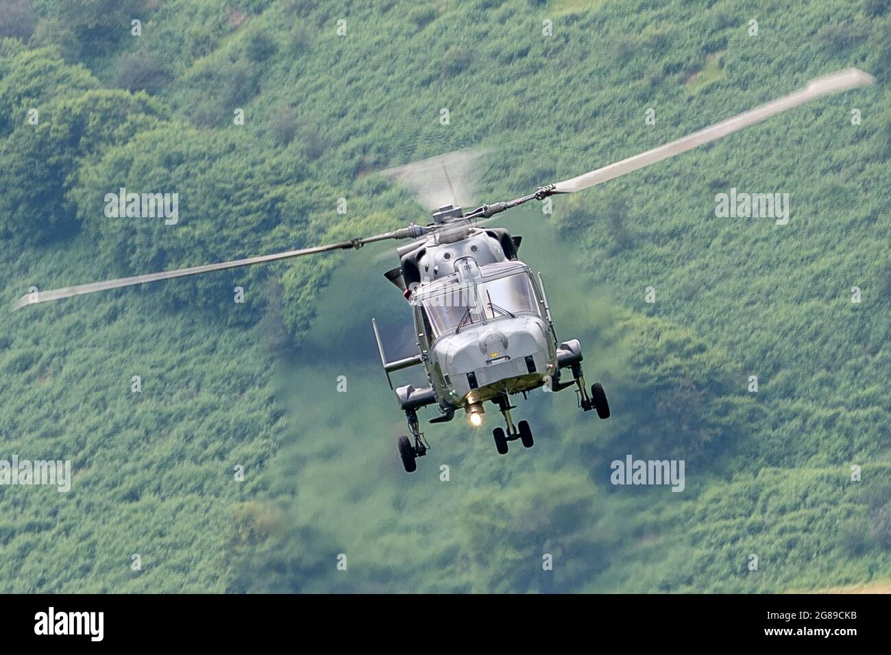 Wildcat ZZ410 Low level Stock Photo