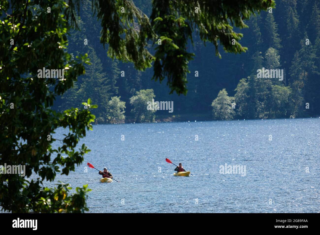 Paddling on Lake Crescent, Olympic National Park, Washington State, USA. Stock Photo
