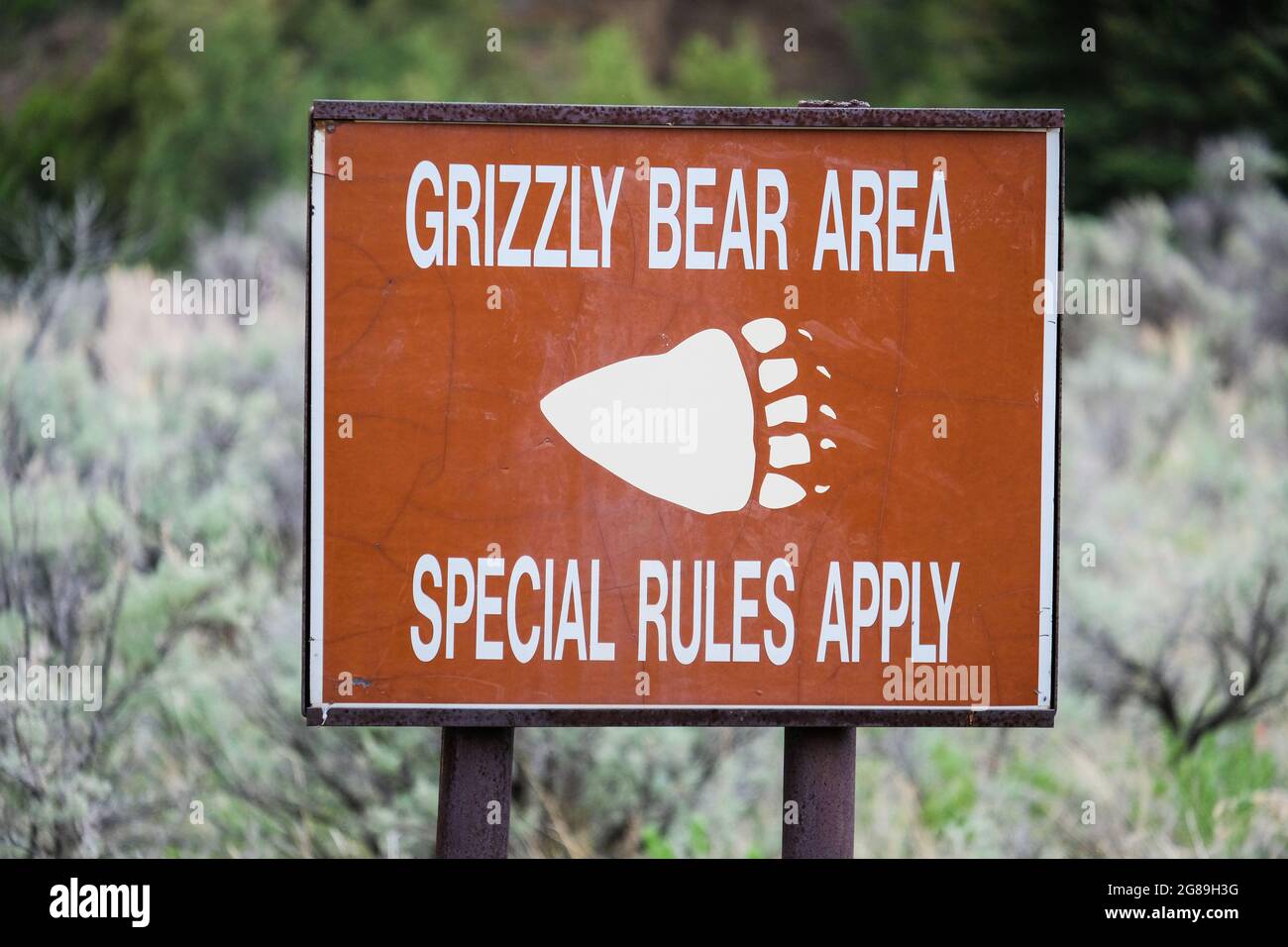 Grizzly Bear warning sign, Shoshone National Forest, Wyoming, USA, just outside Yellowstone National Park. Stock Photo