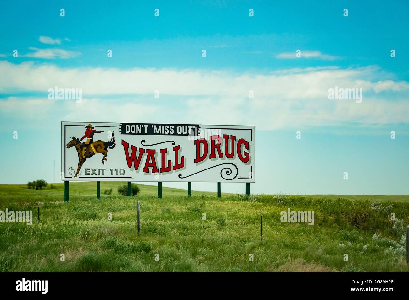 Are Dogs Allowed In Wall Drug Ss