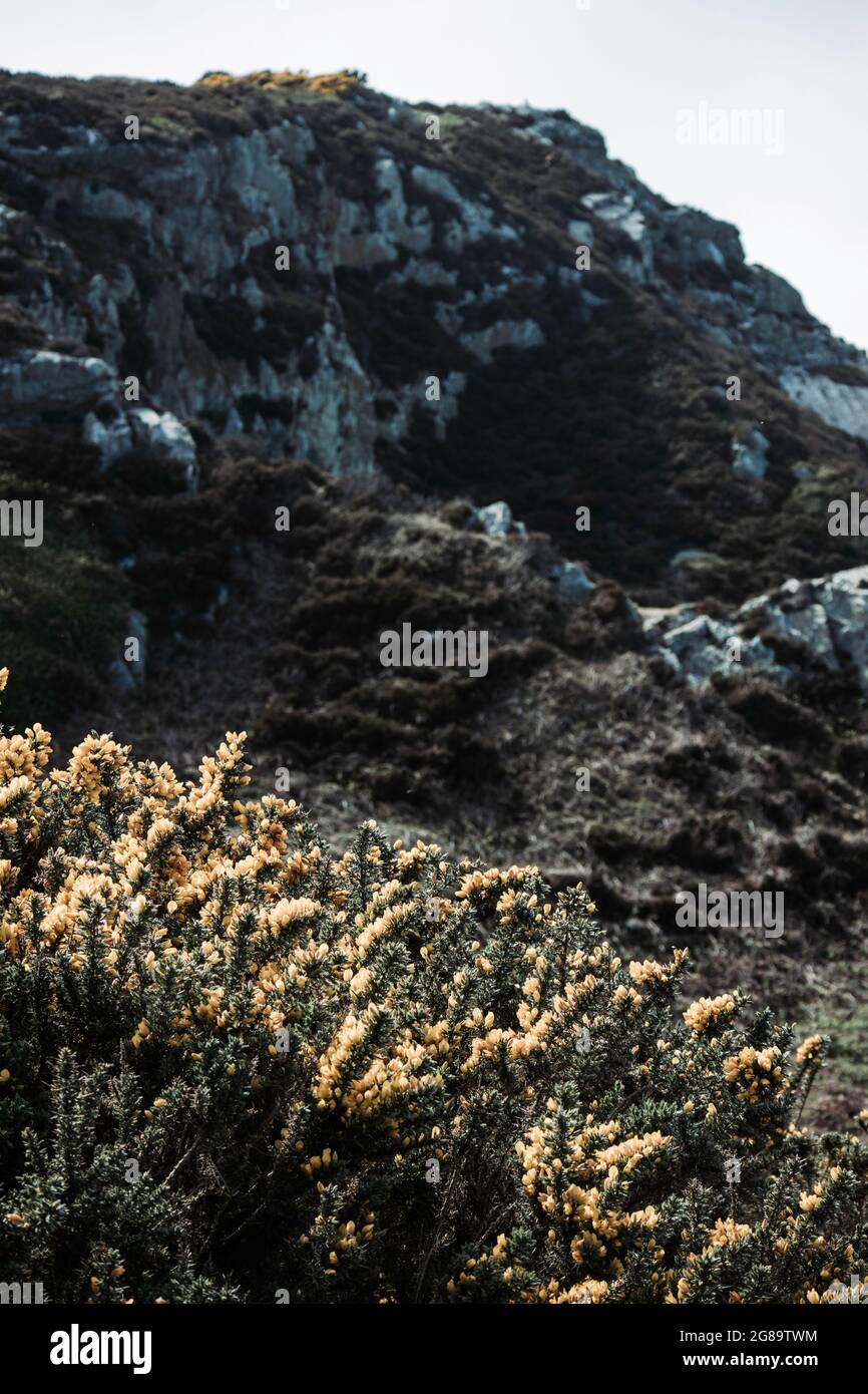 Discover howth hi-res stock photography and images - Alamy