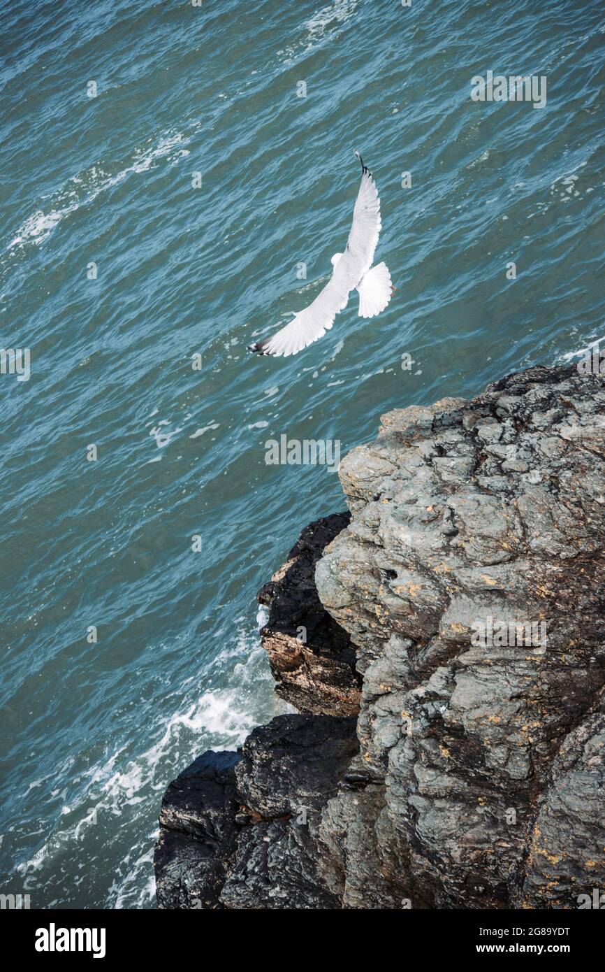 Discover howth hi-res stock photography and images - Alamy