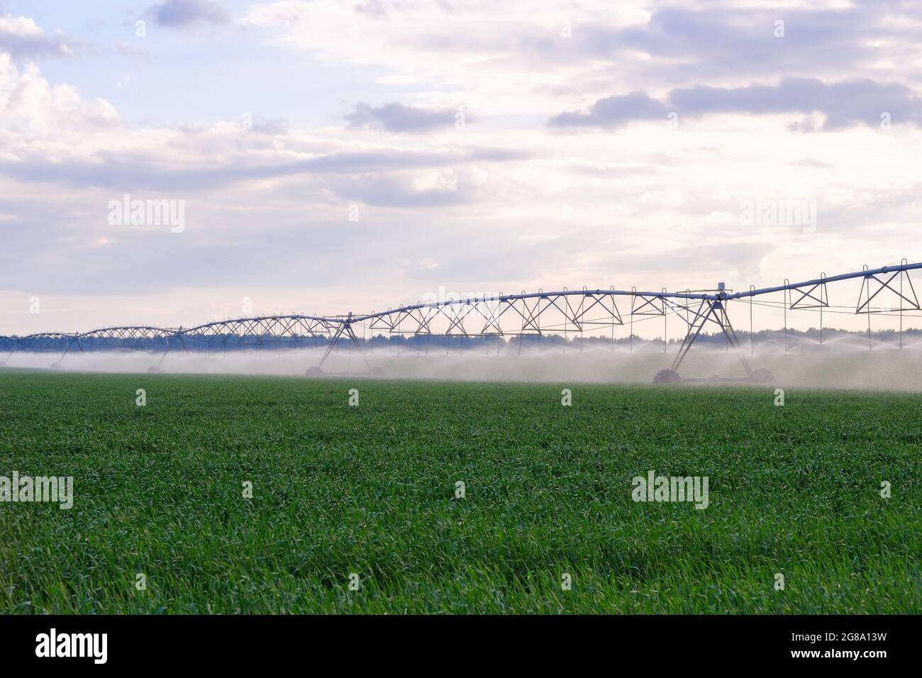 Automated irrigation system Stock Photo Alamy