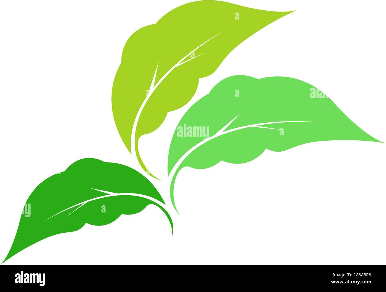 Green leaf, natural leaf icon logo design template vector Stock Vector ...