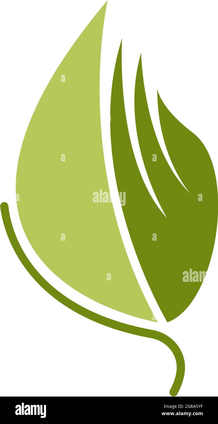 Green leaf, natural leaf icon logo design template vector Stock Vector ...