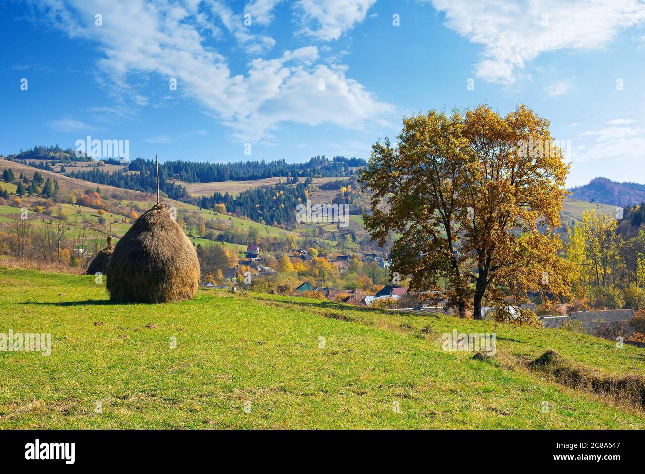 tree and haystack in fall foliage on the hill. autumnal rural scenery ...