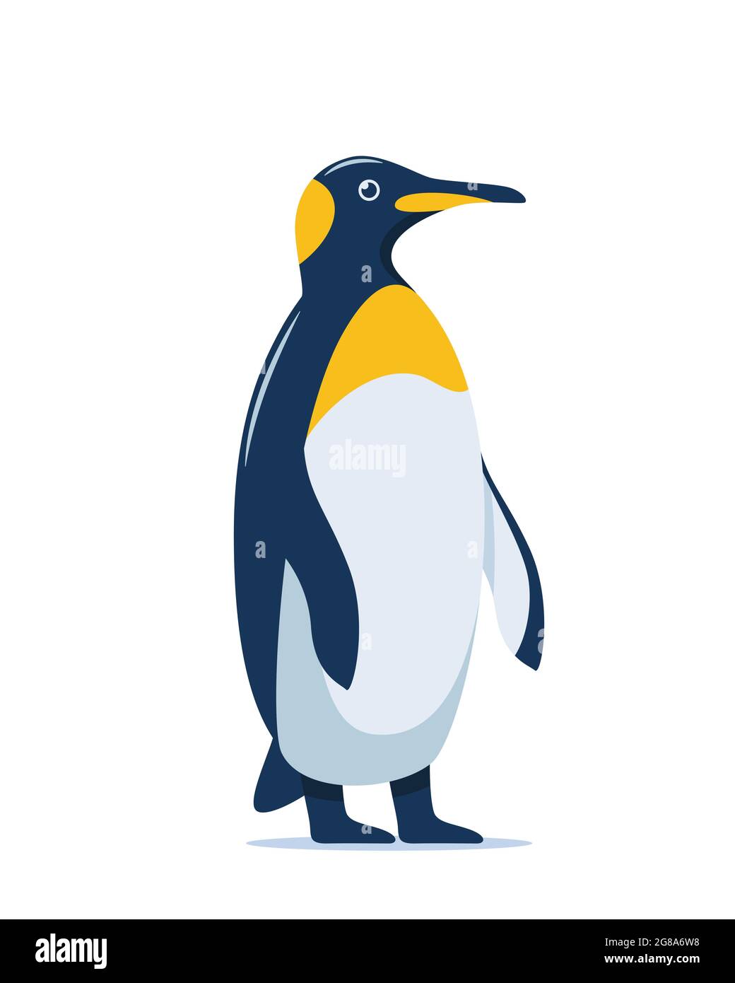 Cute penguin stands in full height, vector illustration on white background Stock Vector