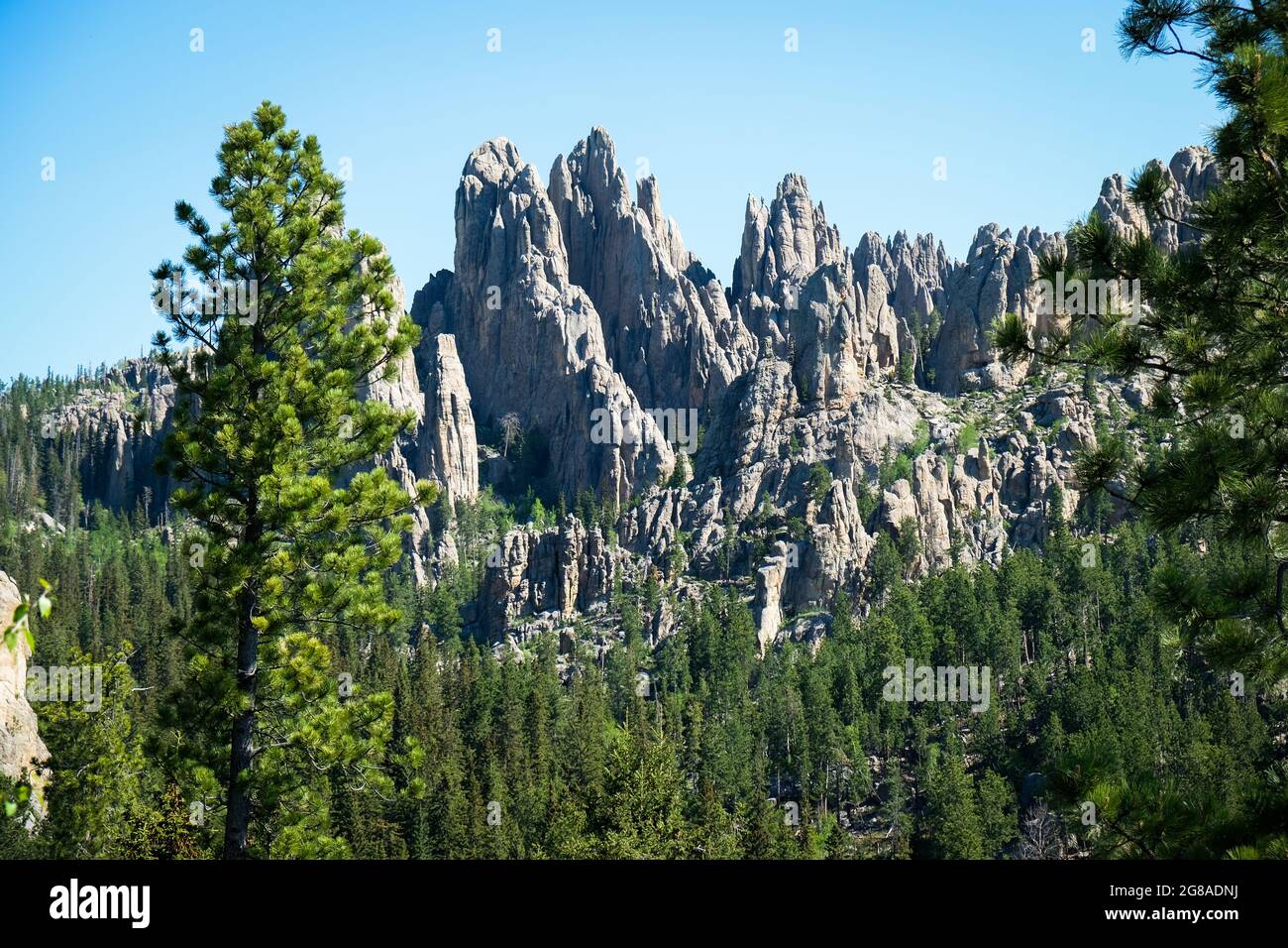 views along Needles Highway, Black Hills, South Dakota, USA. Stock Photo