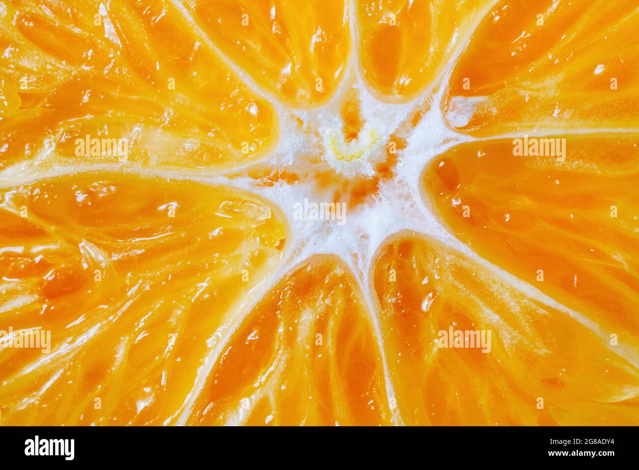 Macro shot of slice of orange. Cut of orange fruit close up. Stock Photo
