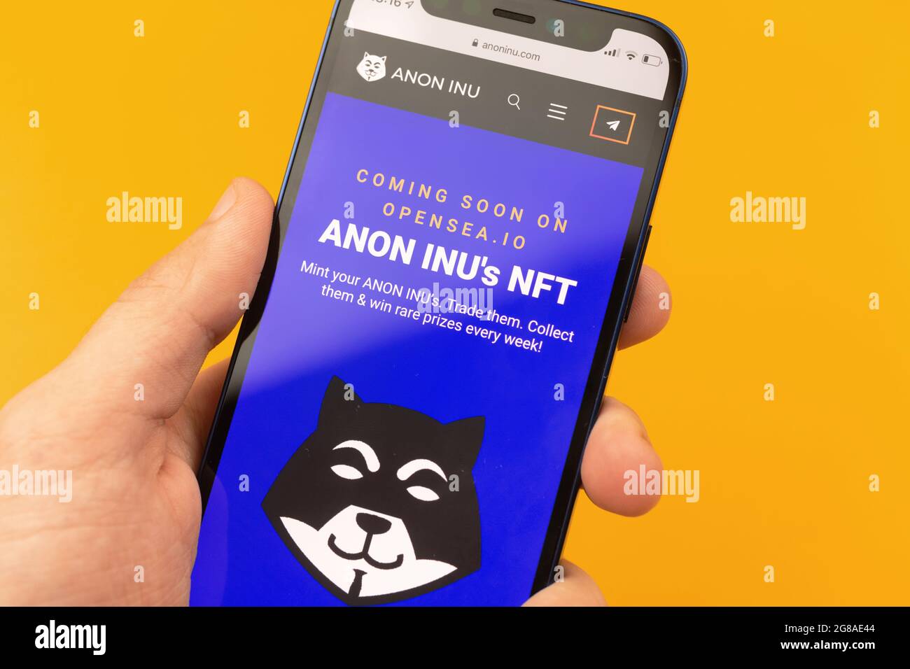 Anon Inu NFT. Anonymous cryptocurrency background, blockchain technology,  non fungible tokens Stock Photo - Alamy