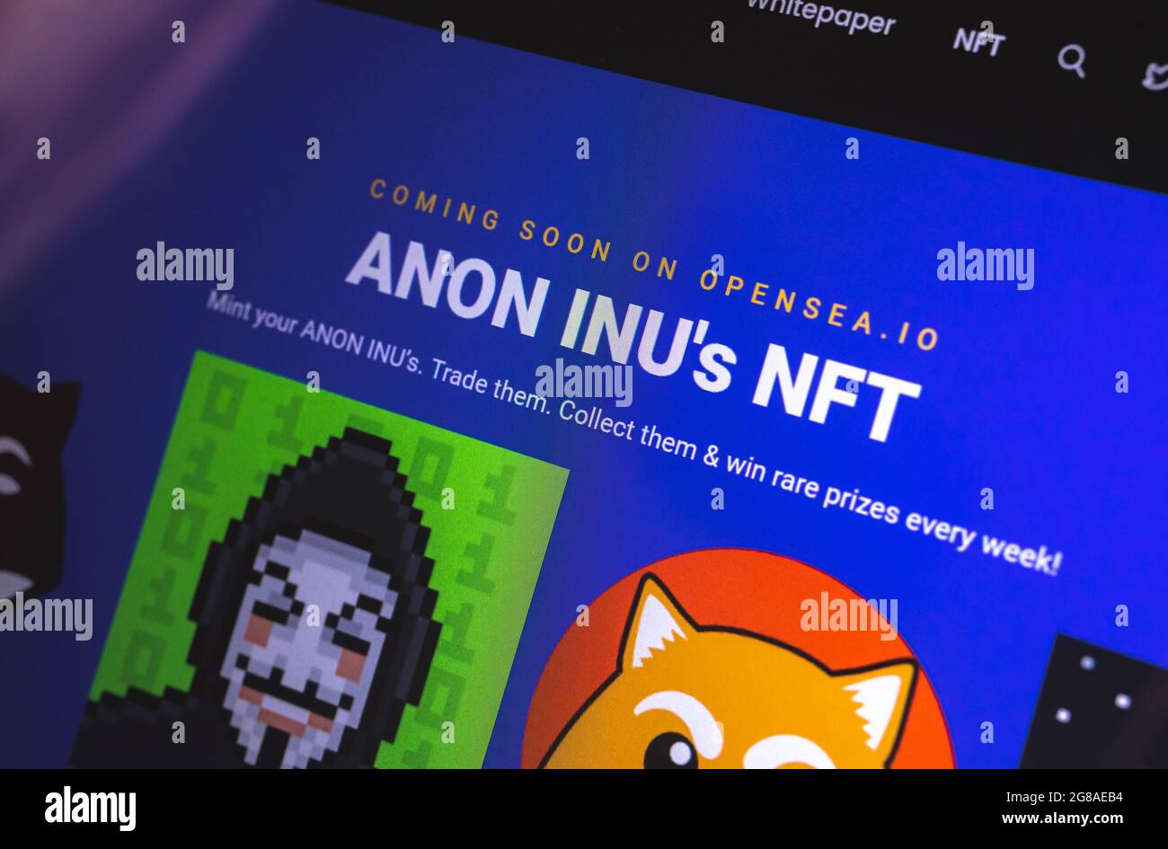 Anon Inu NFT. Anonymous cryptocurrency background, blockchain technology,  non fungible tokens Stock Photo - Alamy
