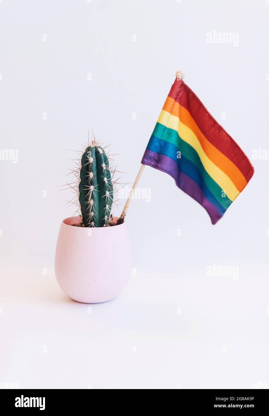Cactus houseplant in pink pot with rainbow pride flag on white background Stock Photo