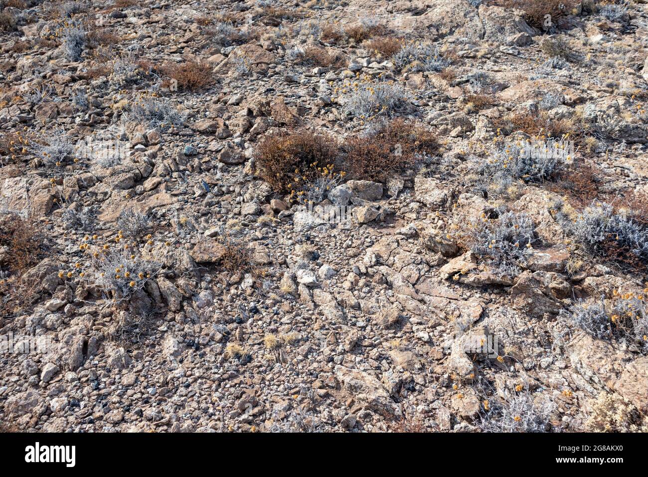 Rocky soil hi-res stock photography and images - Alamy