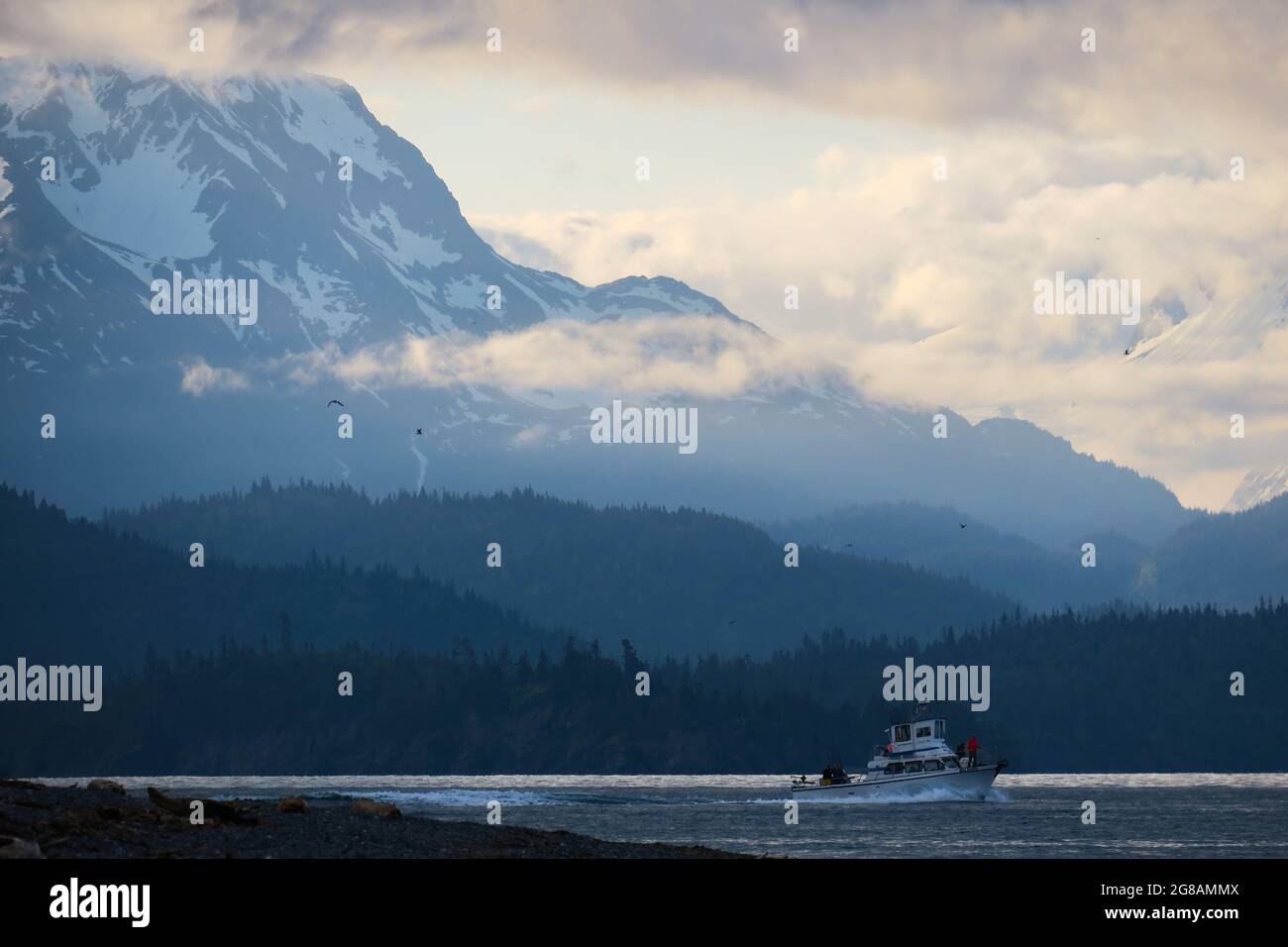 Mount kenai peninsula hi-res stock photography and images - Alamy