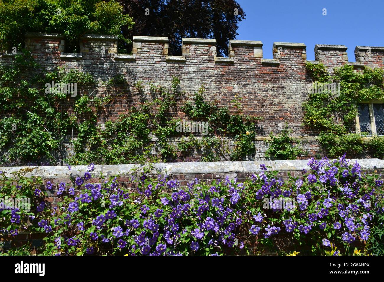 Flower beds, borders, Tudor crenellated wall, and flowers at Penshurst