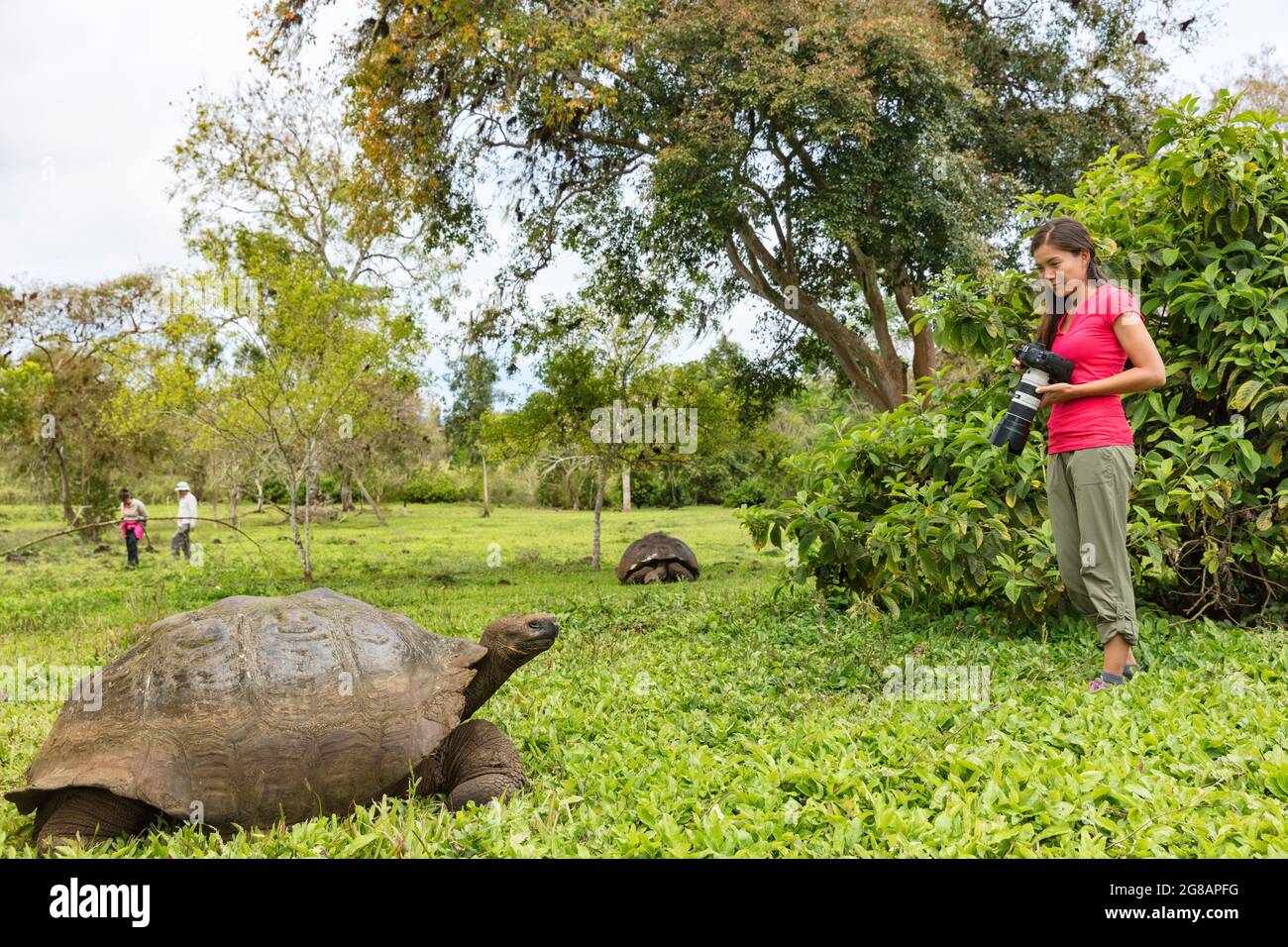 Chelonoidis nigra tourist hi-res stock photography and images - Alamy