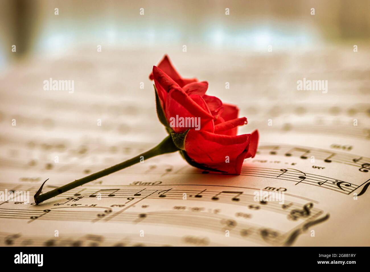 Music Notes Red Roses Border Red tab hi-res stock photography and images - Alamy