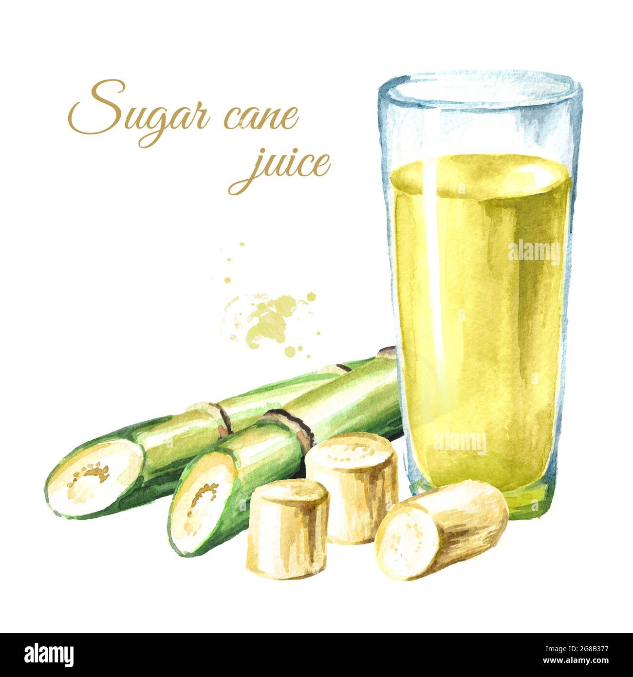 Fresh squeezed sugar cane juice in the drinking glass and with cut