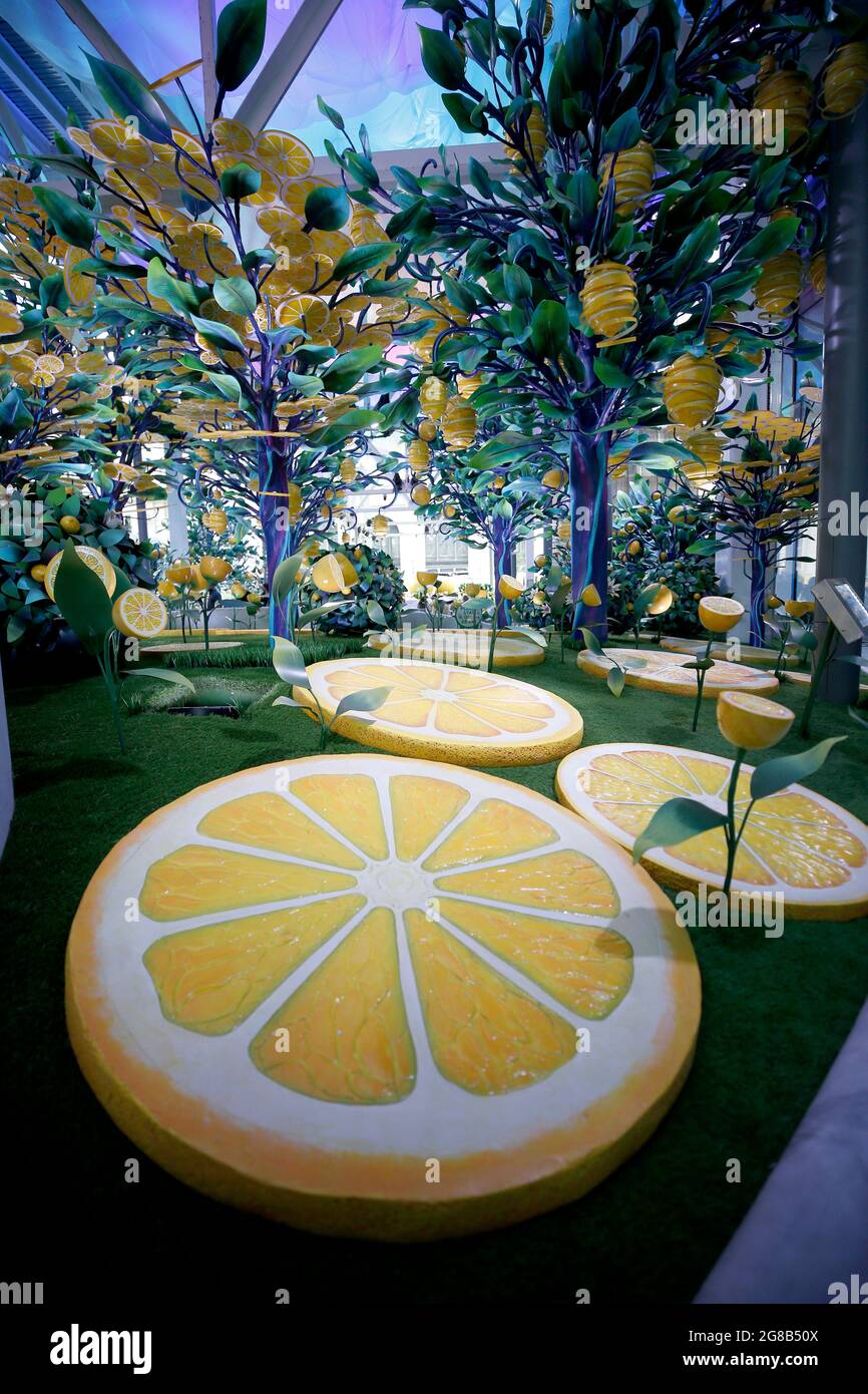 New York, United States. 18th July, 2021. Fabricated lemon tree
