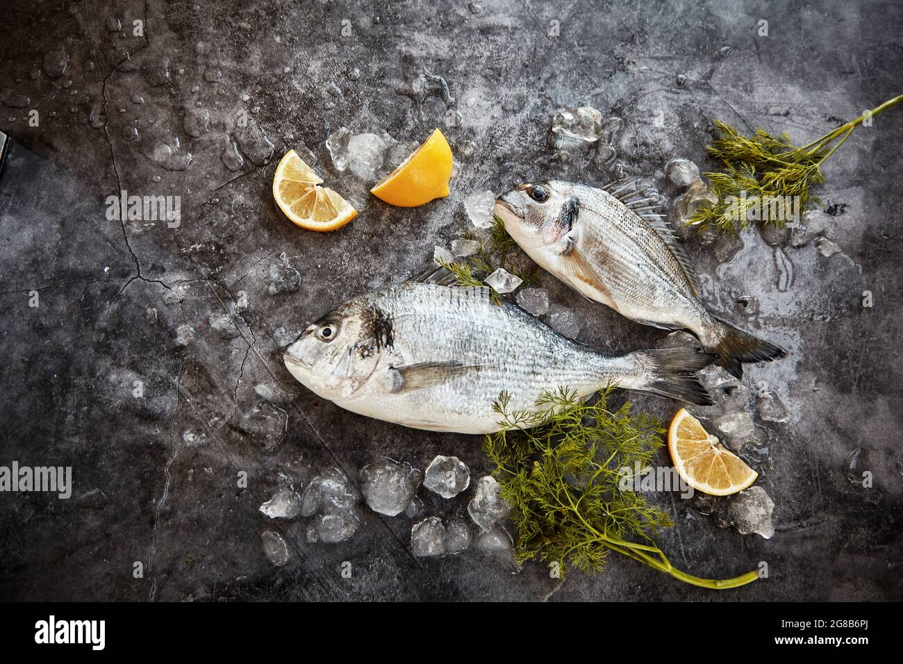 Two freshly caught whole raw gilt-head bream, a popular eating fish ...