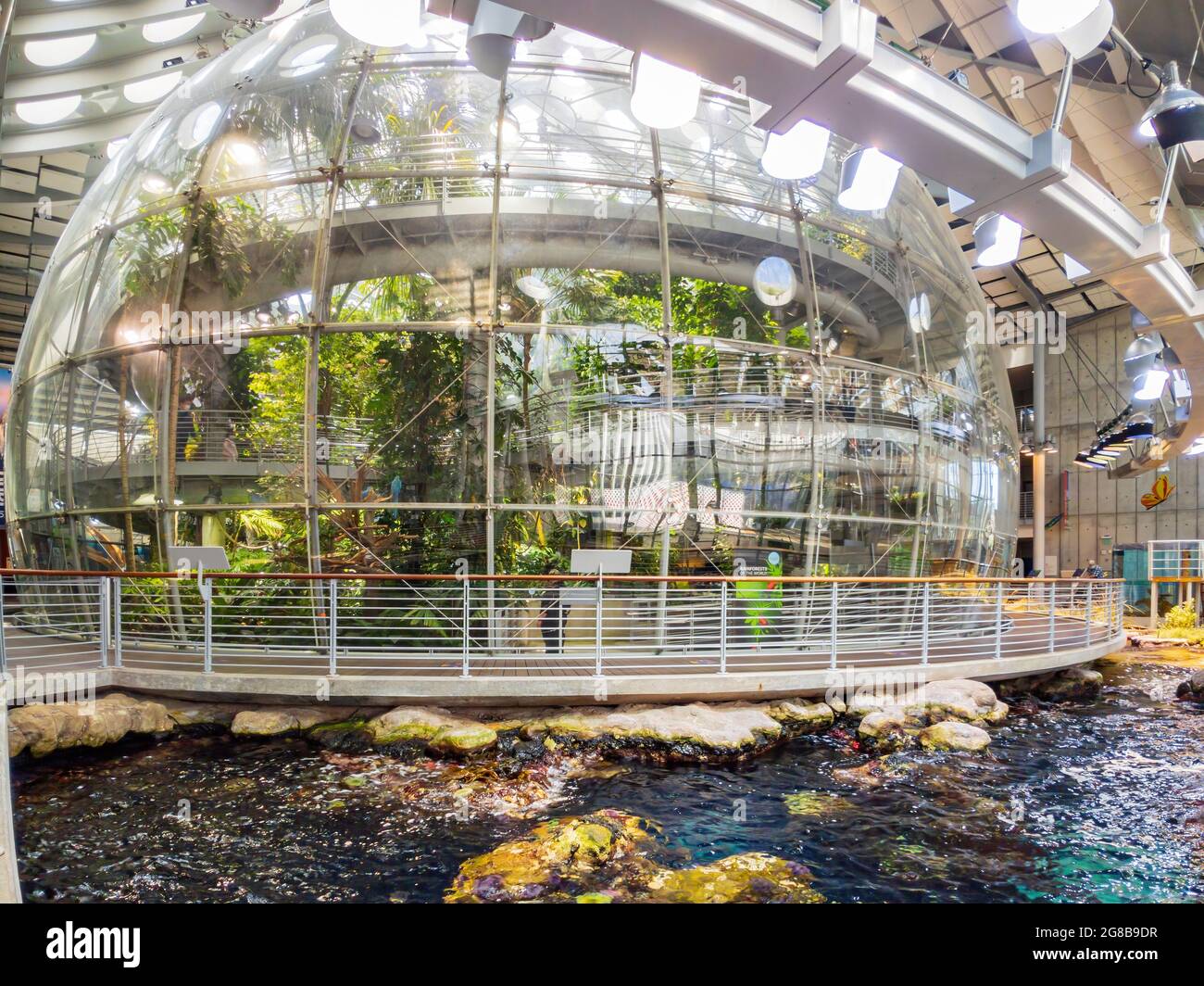 San Francisco, MAY 20, 2021 - Rainforest of the California Academy of ...