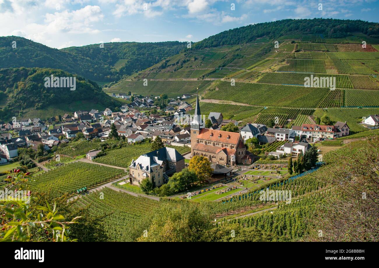 Ahr Valley, Rhineland Palatinate, Germany Village of Myschoss with St Nikolaus church as seen
