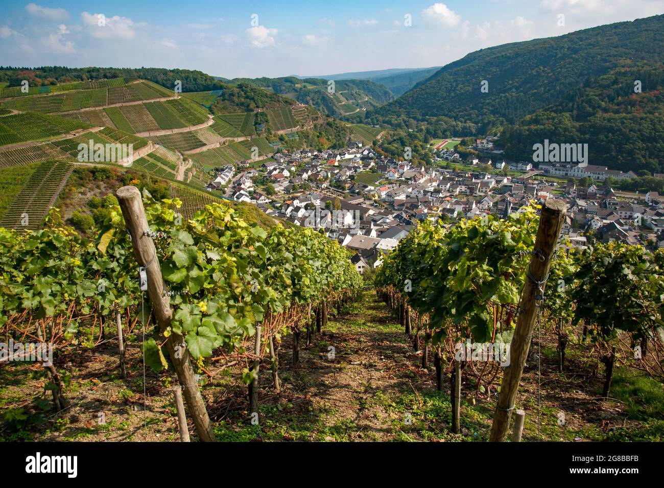 Ahr Valley, Rhineland Palatinate, Germany Village of Dernau as seen from the 'Rotweinwanderweg