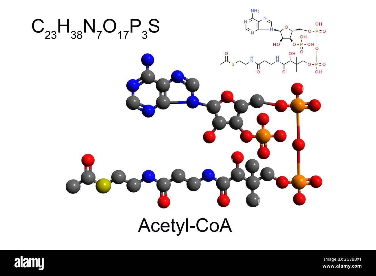 Chemical formula, structural formula, and 2D ball-and-stick model of ...