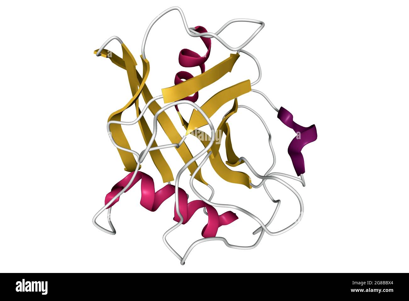 Room temperature structure of cyclophilin A (CypA), 3D cartoon model, secondary  structure color scheme, based on PDB 3k0n, white background Stock Photo -  Alamy