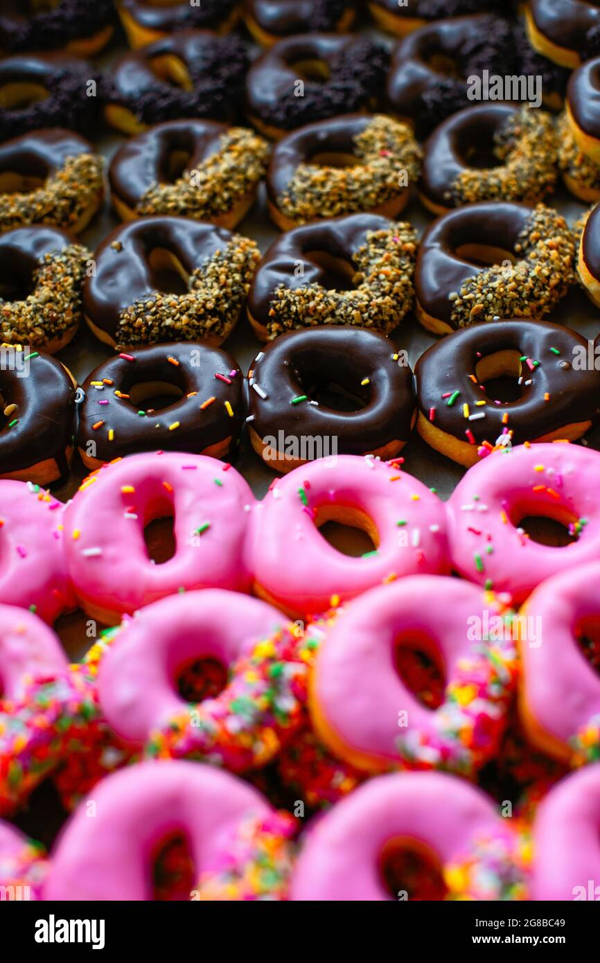 Rows of colorful donuts process in fall color style Stock Photo - Alamy