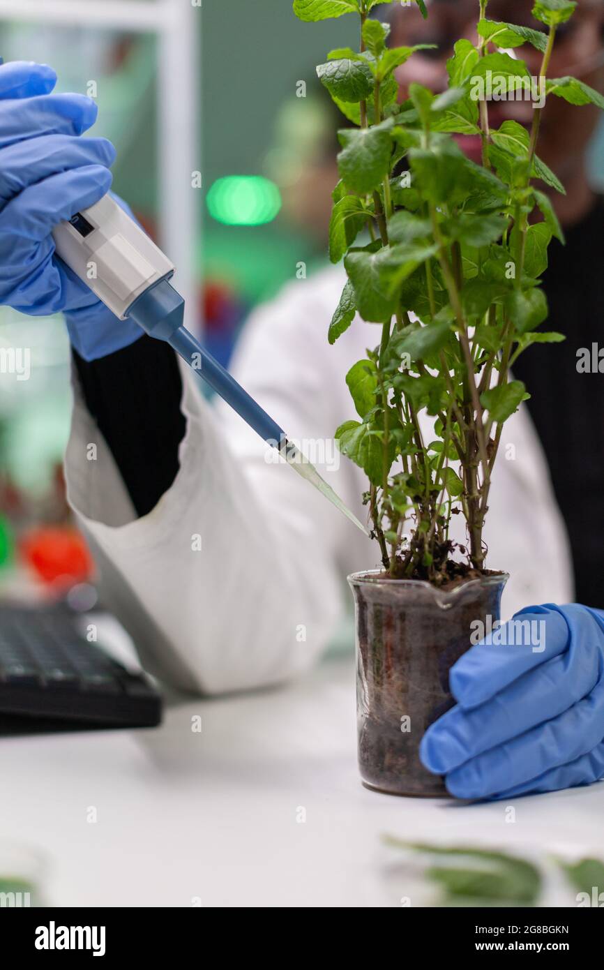 African botanist researcher putting solution from test tube