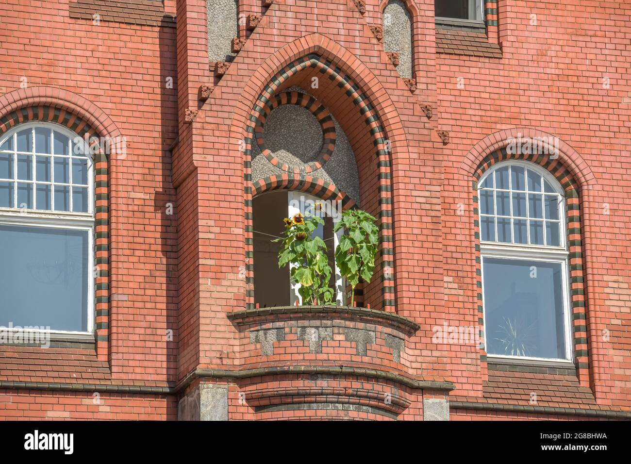 Sonnenblumen, Balkon, Altes Rathaus, Schlossstrasse, Steglitz, Berlin, Deutschland Stock Photo