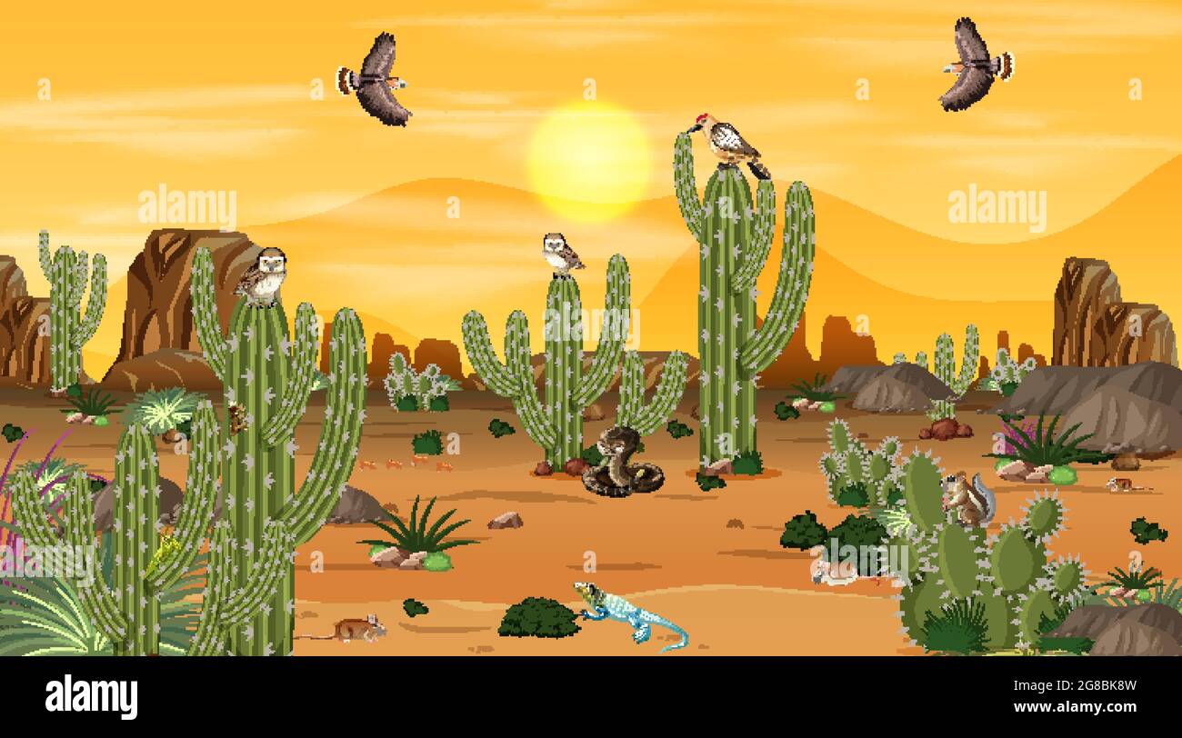Desert forest landscape at sunset scene with desert animals and plants