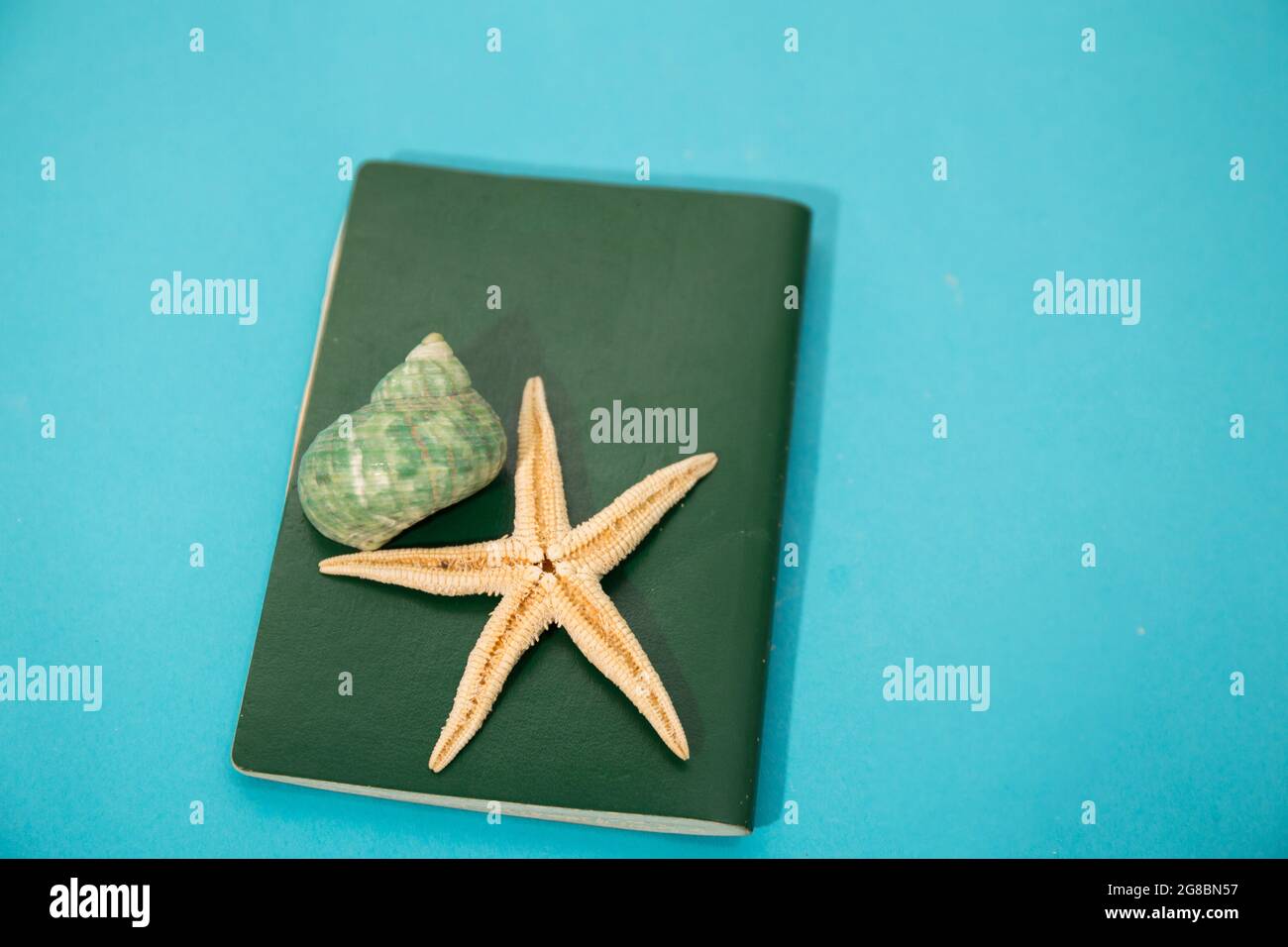 Green covered notebook with a sea urchin and a starfish on it with a blue background Stock Photo