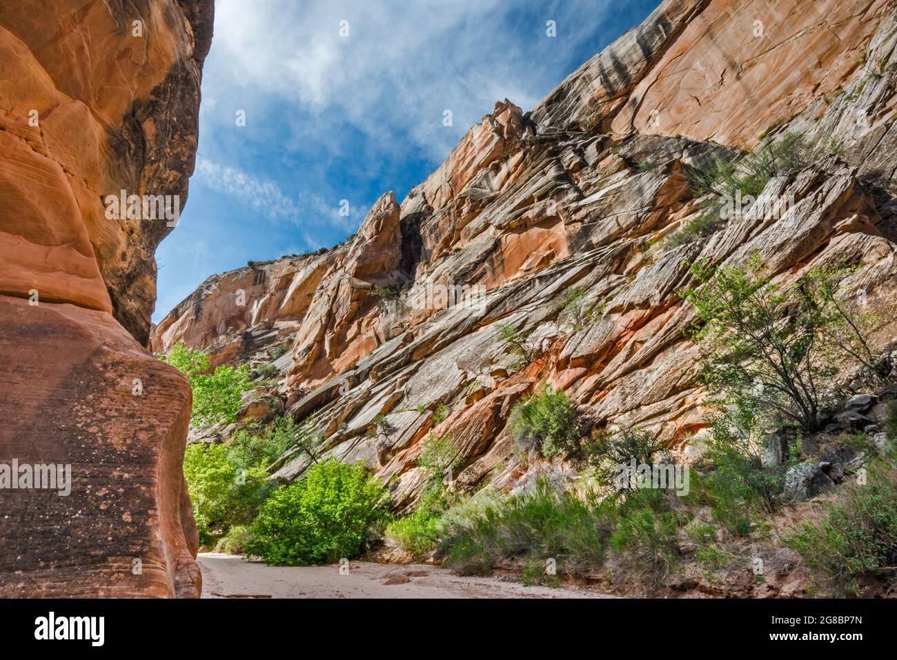 Hackberry Canyon, near Cottonwood Canyon, Grand Staircase Escalante National Monument, Utah, USA