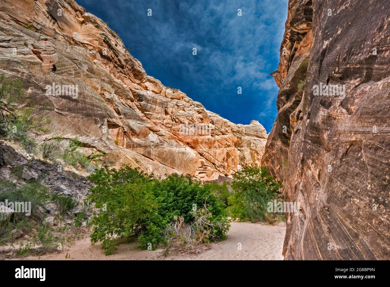 Hackberry Canyon, near Cottonwood Canyon, Grand Staircase Escalante National Monument, Utah, USA