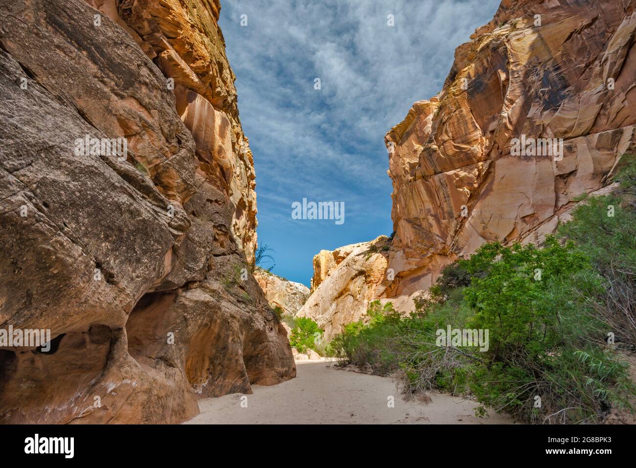 Hackberry Canyon, near Cottonwood Canyon, Grand Staircase Escalante National Monument, Utah, USA