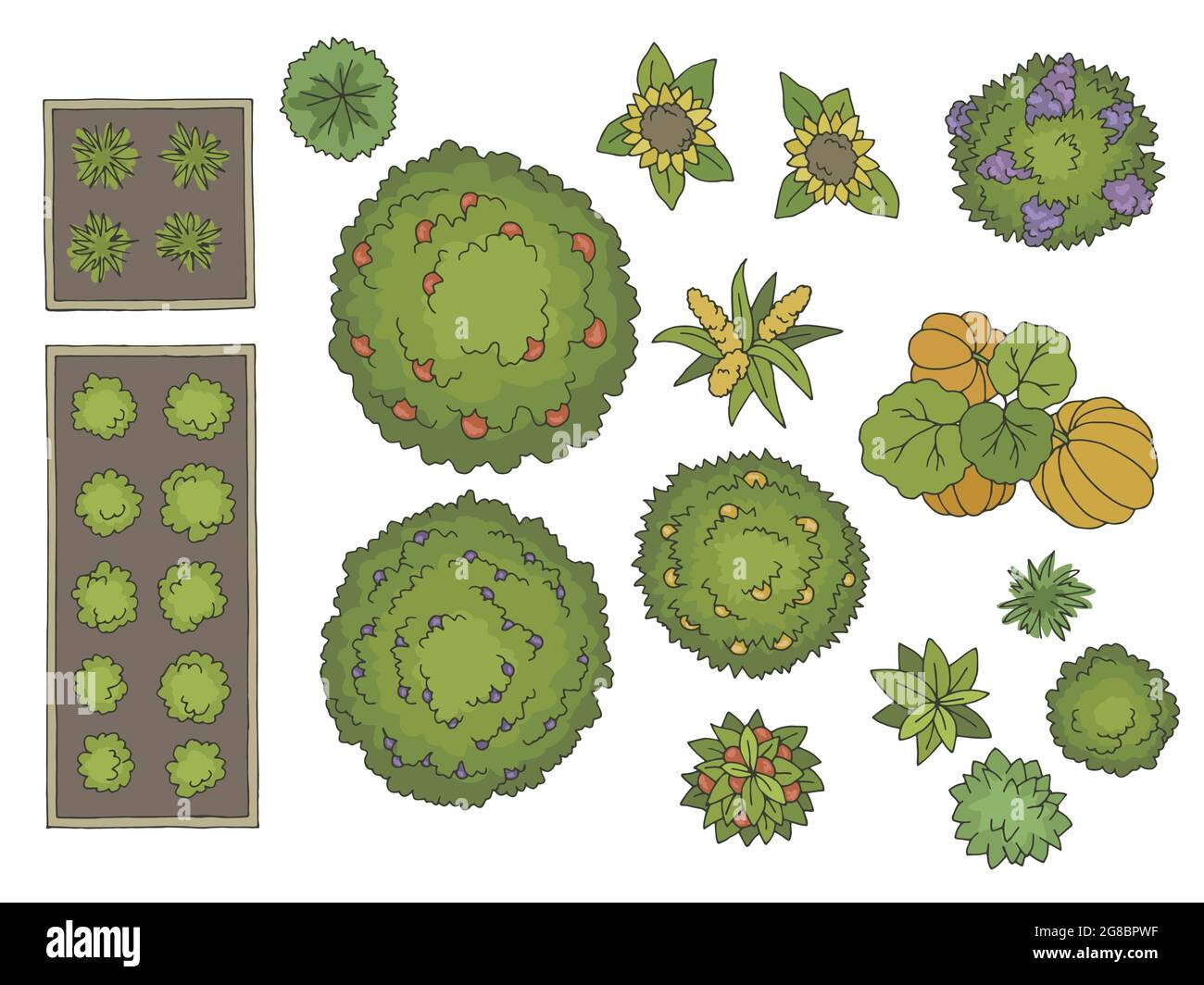 Landscape architect design element set graphic color top sketch aerial view illustration vector Stock Vector