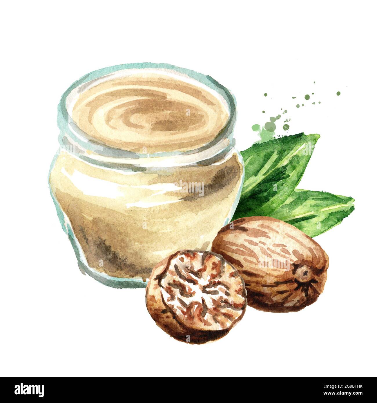 Bechamel sauce with nutmeg. Watercolor hand drawn illustration, isolated on white background Stock Photo
