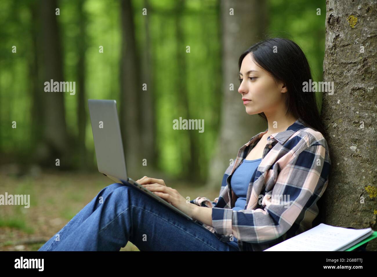 Concentrated asian student e-learning with laptop in a forest Stock Photo