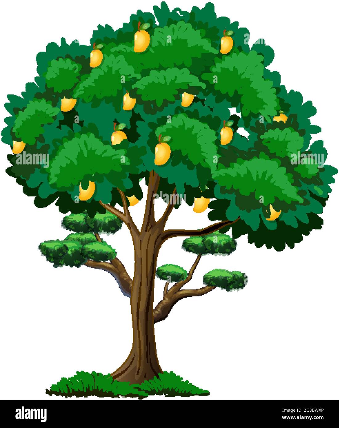 How to Draw a Mango Tree Easy Step by Step - YouTube-saigonsouth.com.vn