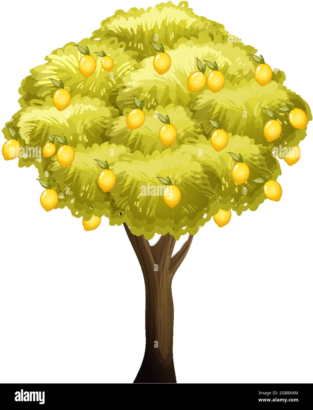 Lemon tree isolated on white background illustration Stock Vector Image ...
