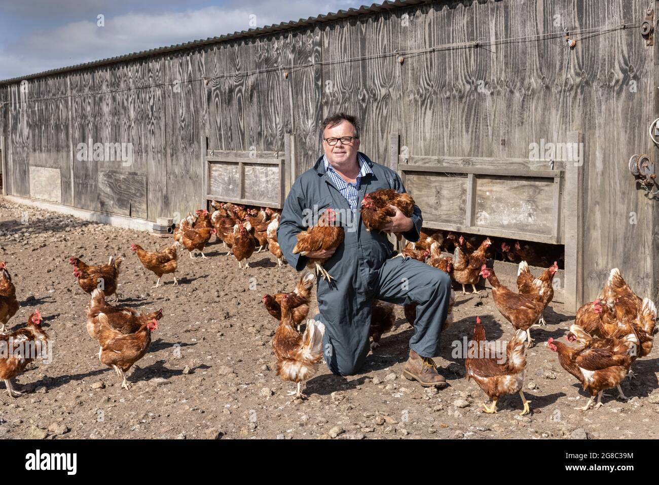 Egg farmer Douglas Wanstall, at his farm in Kent is taking legal action against Fridays claiming it is to blame for a salmonella outbreak on his farms Stock Photo