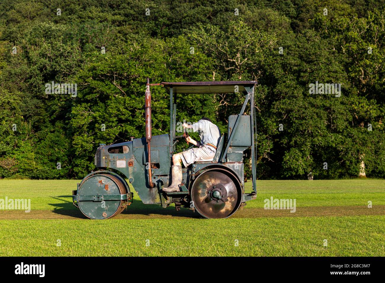 cricket, trees, village,rolling the strip, rolling the cricket pitch, village cricket, local