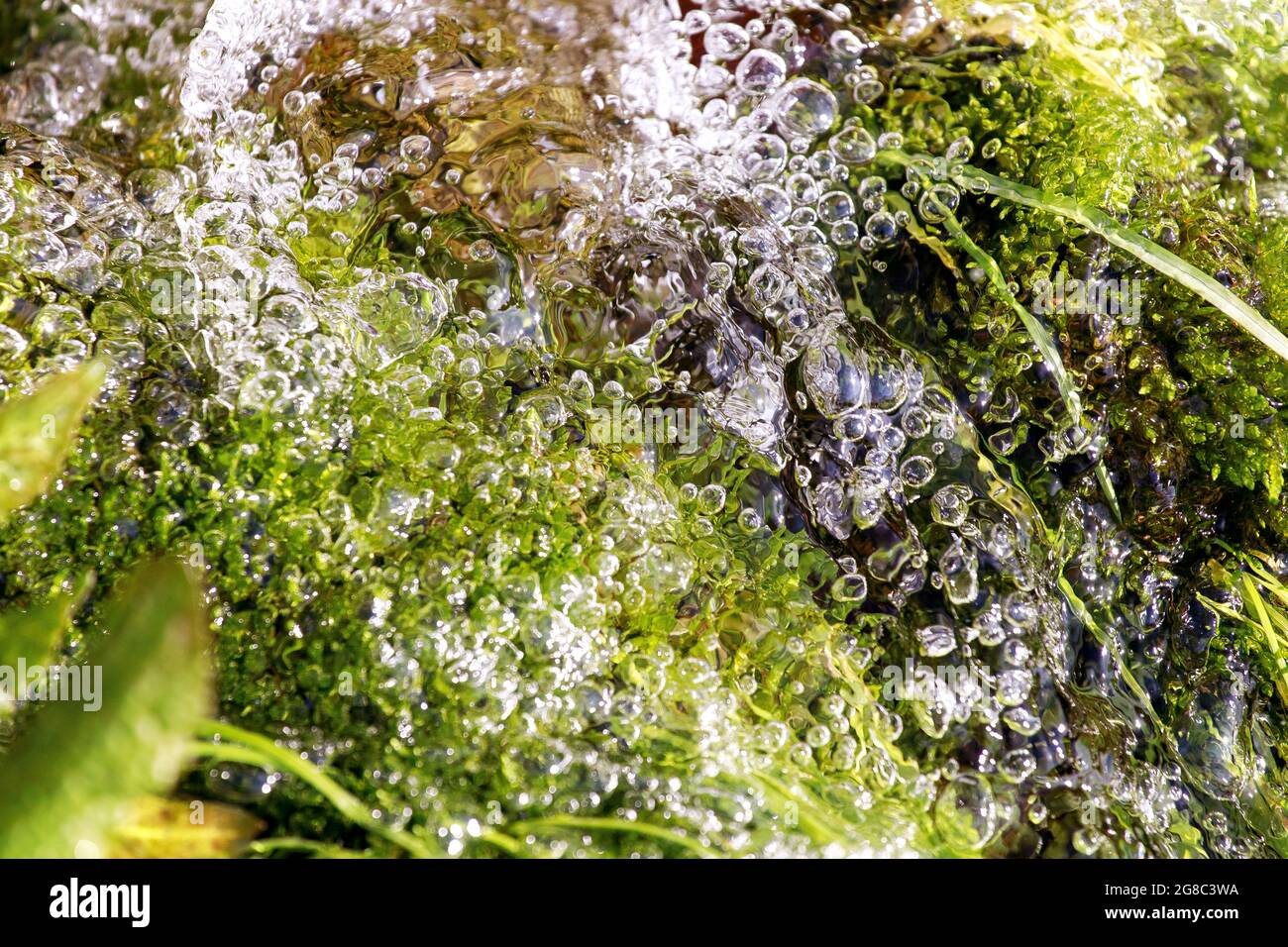 Close-up of fresh clean water and green nature. Spring fresh water in motion, spraying water in creek, abstract background. Stock Photo